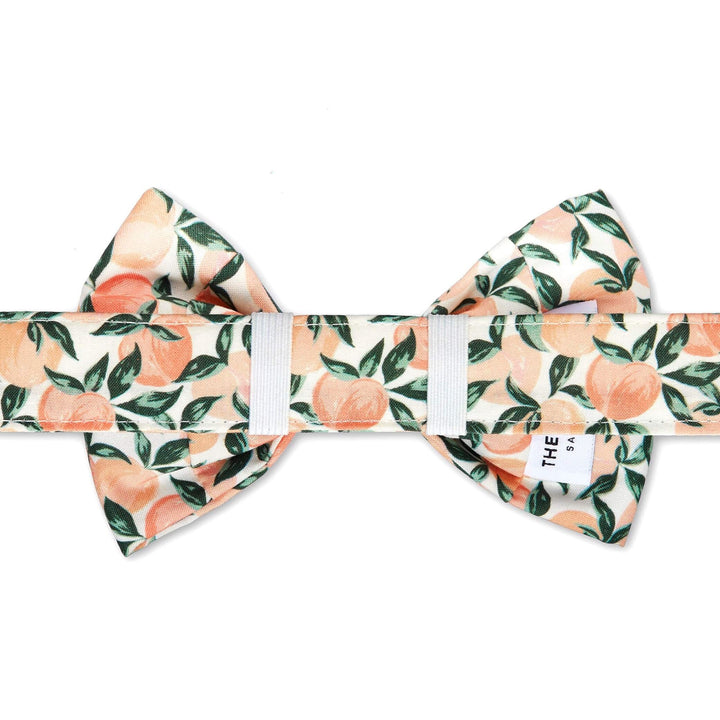 Dog Bow Tie