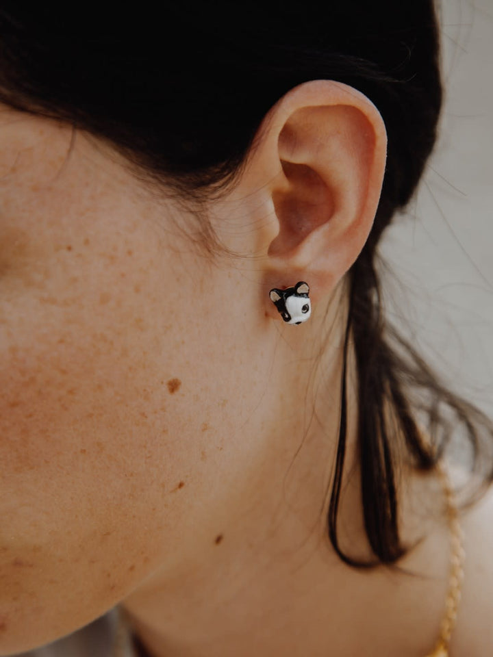 Black & White French Bulldog Studs