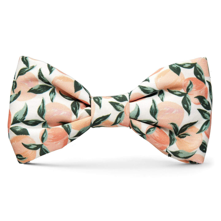 Dog Bow Tie