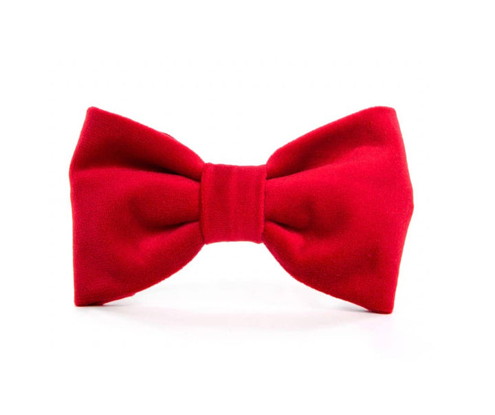 Dog Bow Tie
