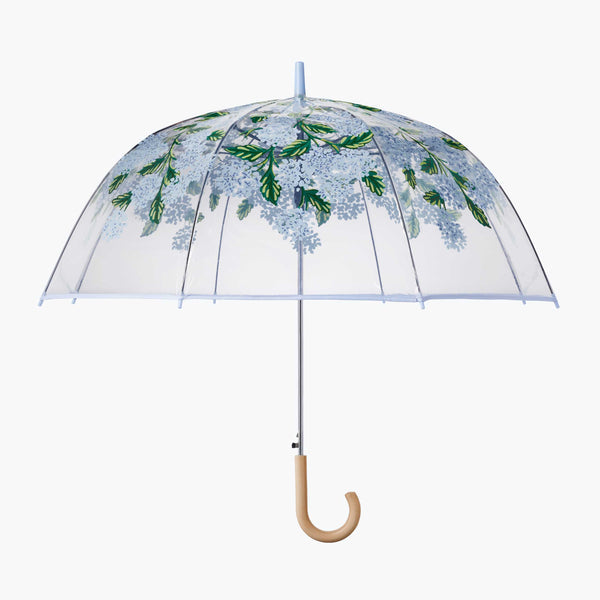 Clear Umbrella