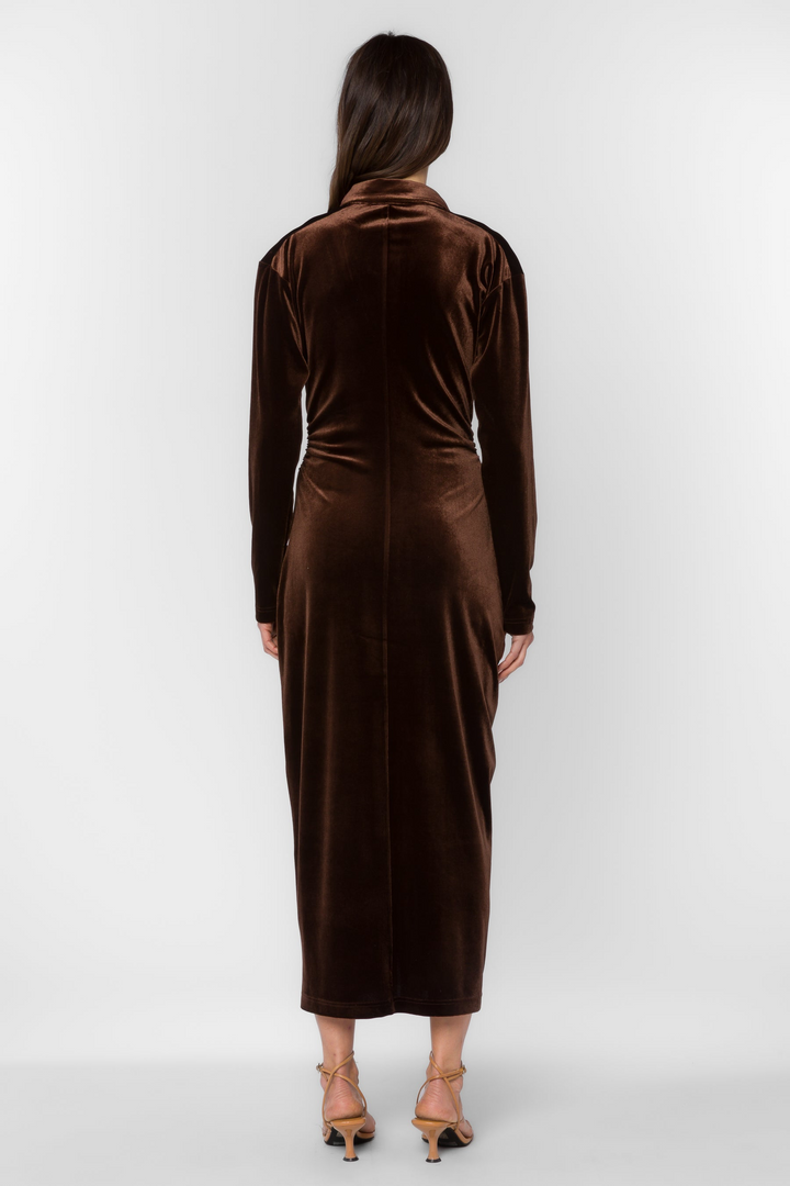 Phoenix Shirred Dress
