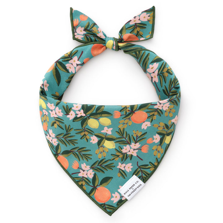 Dog Bandana