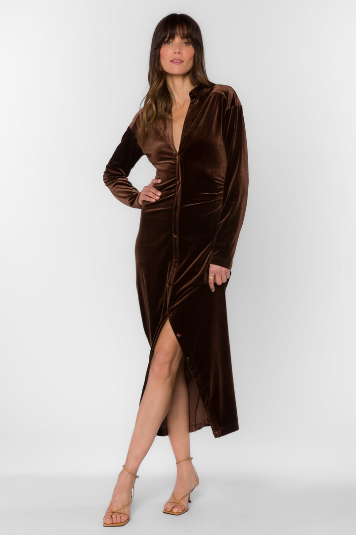 Phoenix Shirred Dress