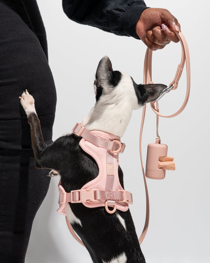Bag Dispenser