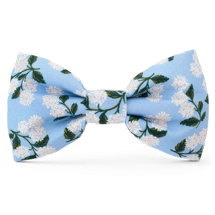 Dog Bow Tie