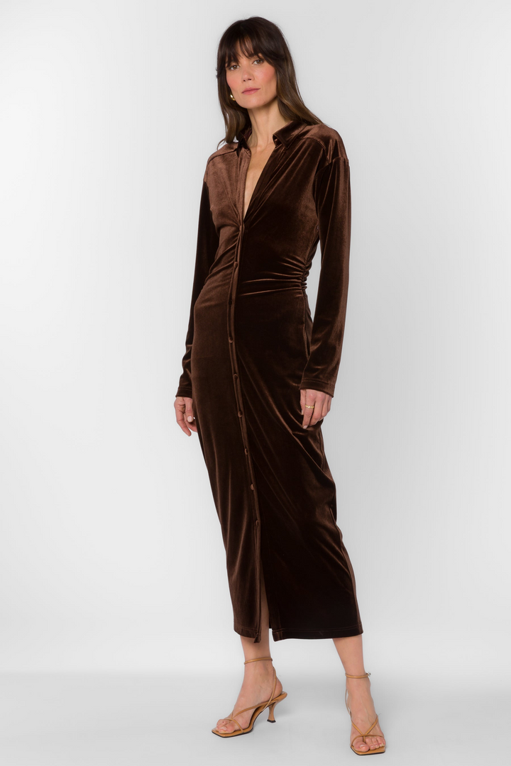 Phoenix Shirred Dress