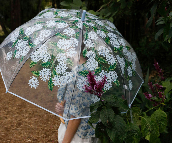 Clear Umbrella
