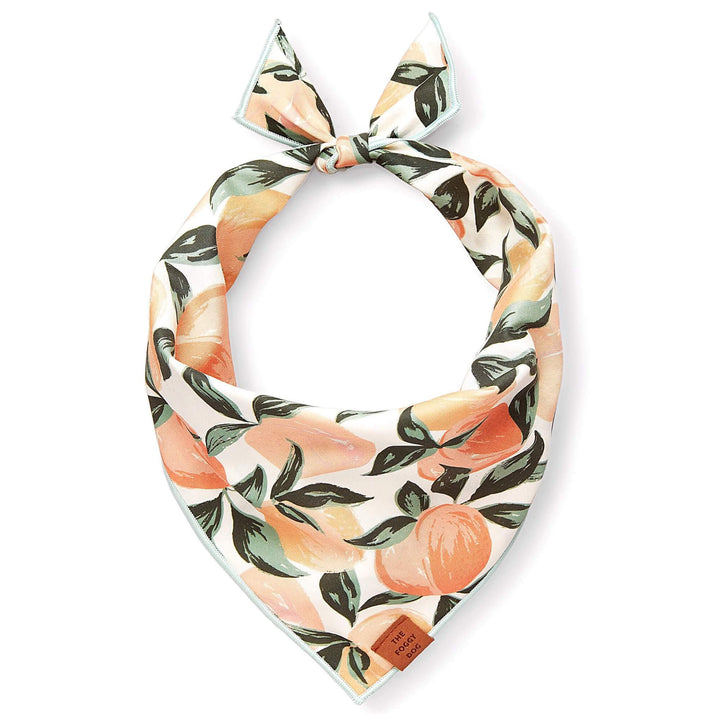 Dog Bandana