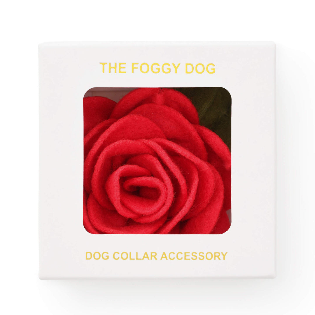 Collar Flower