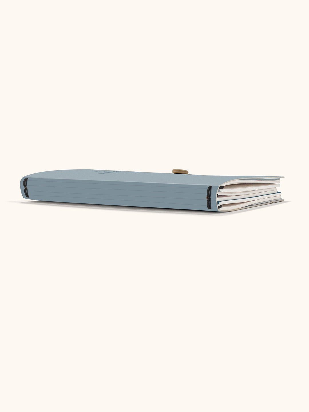 Travel Journal Trio