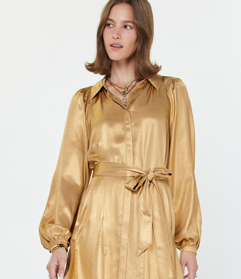 Button Up Ruffle Mini Dress