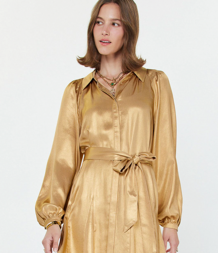 Button Up Ruffle Mini Dress