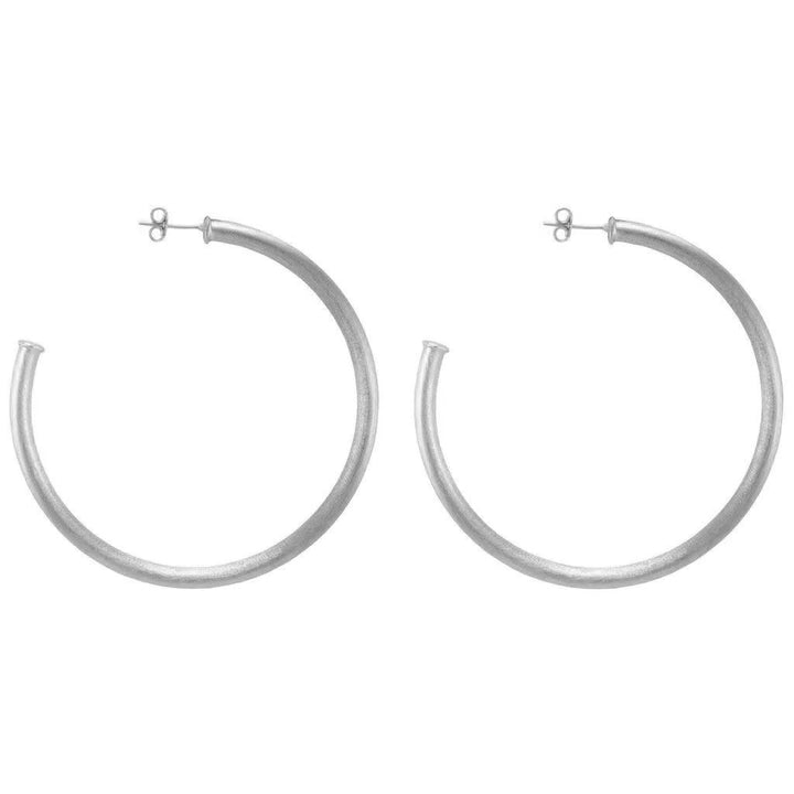 Sheila Fajl Small Everybody's Favorite Hoops