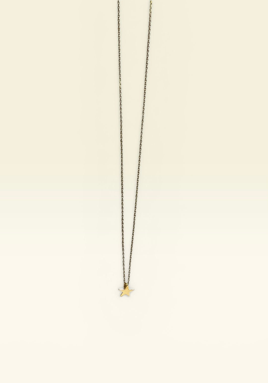 Star 14k Waterproof Necklace