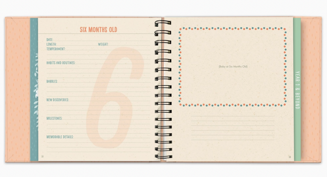 Guided Journal Bundle Joy
