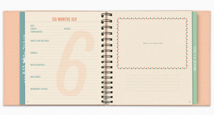 Guided Journal Bundle Joy