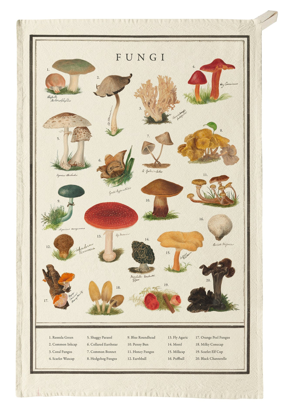 Organic Tea Towel