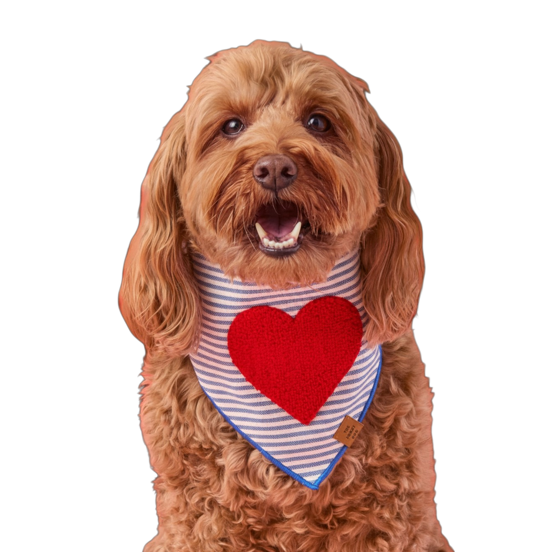 Foggy Dog Applique Dog Bandana
