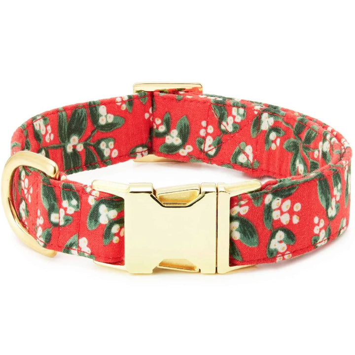 Foggy Dog Collar