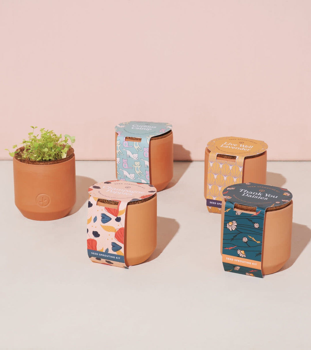 Modern Sprout Tiny Terracotta Kit