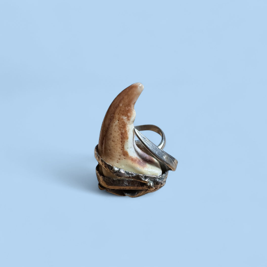 Crocodile Tooth Adjustable Ring