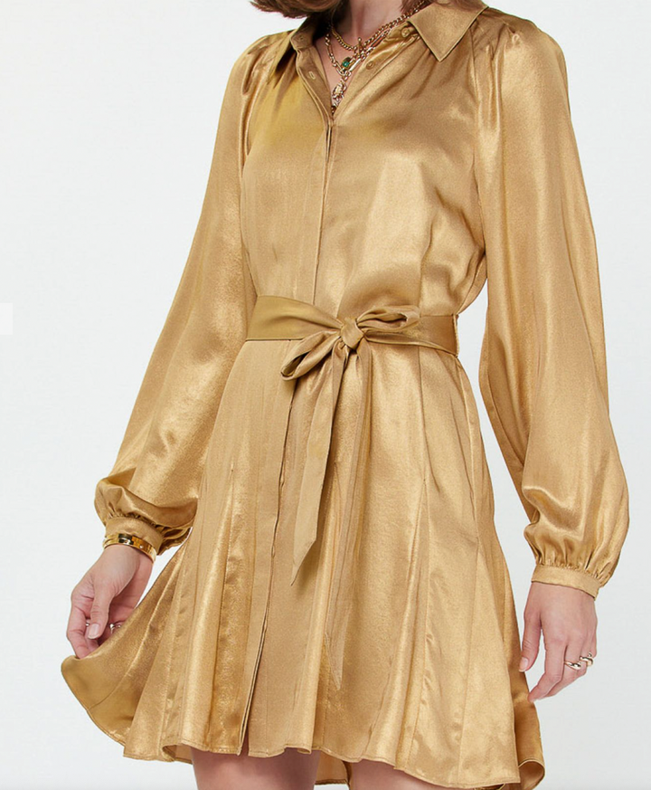 Button Up Ruffle Mini Dress
