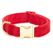 Foggy Dog Collar