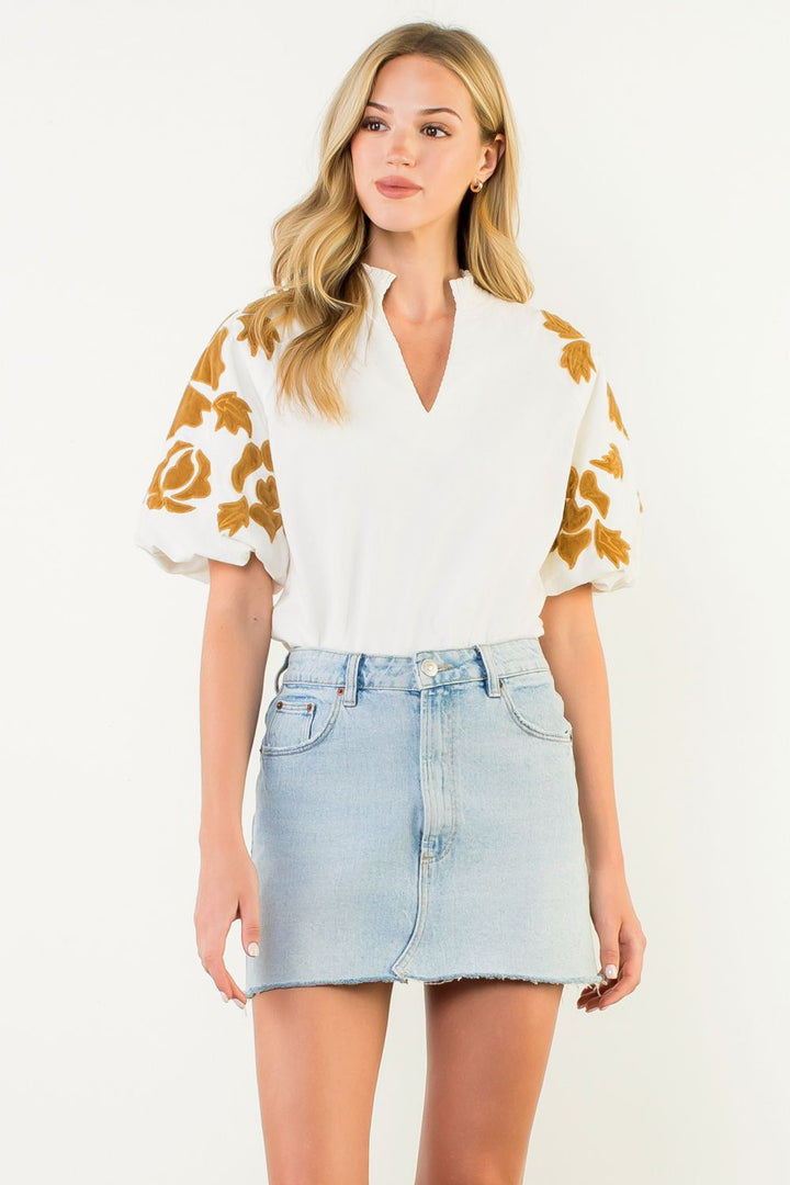Velvet Sleeve Top