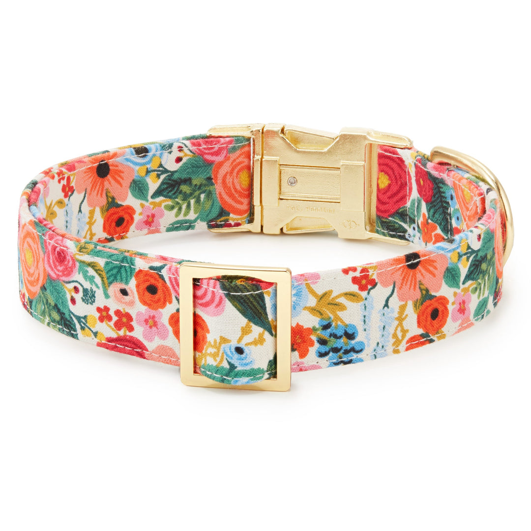 Foggy Dog Collar