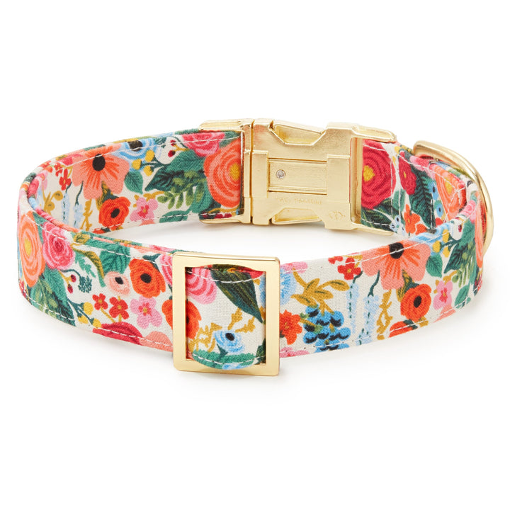 Foggy Dog Collar