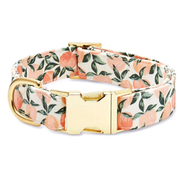 Foggy Dog Collar