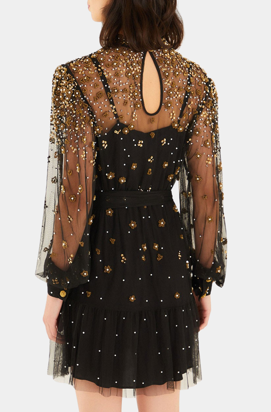 Embroidered Tulle Mini Dress