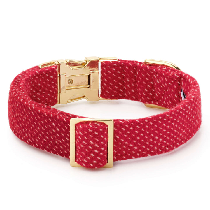 Foggy Dog Collar