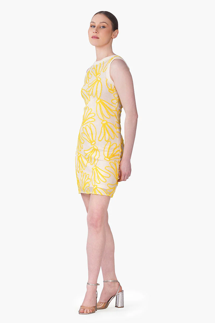 Sunset Banana Embroidered Dress