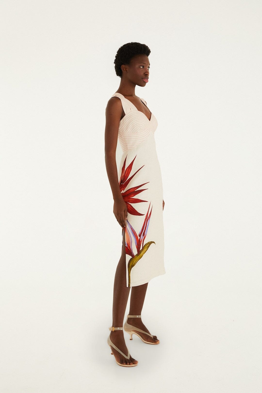 Stelitzia Sand Dress