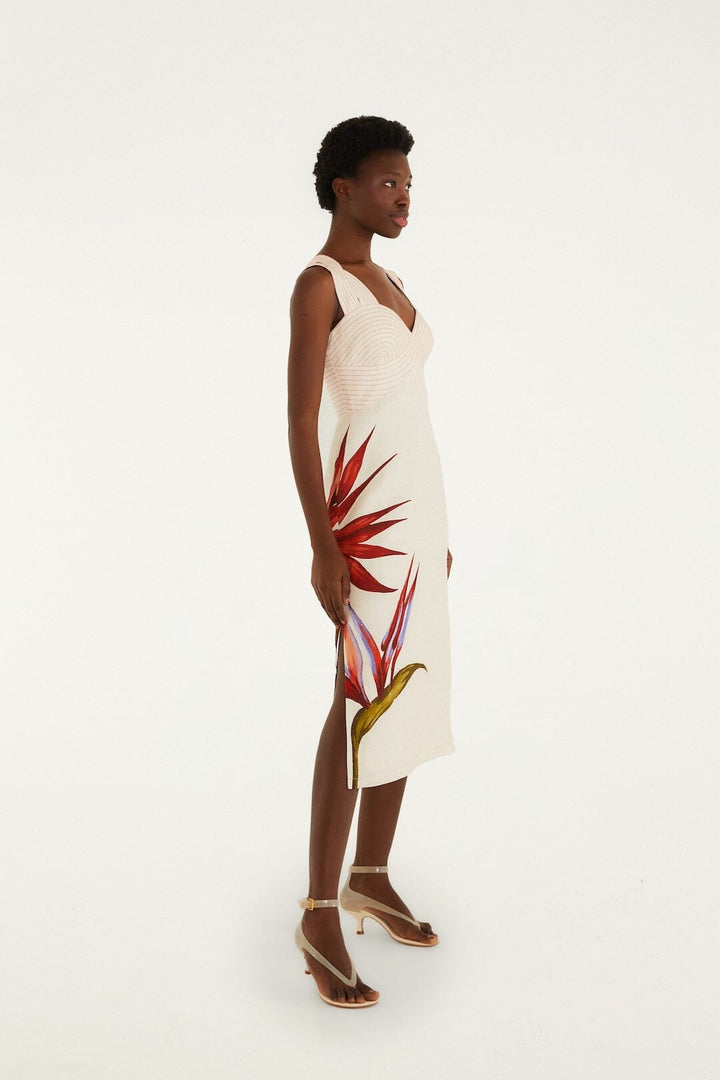 Stelitzia Sand Dress