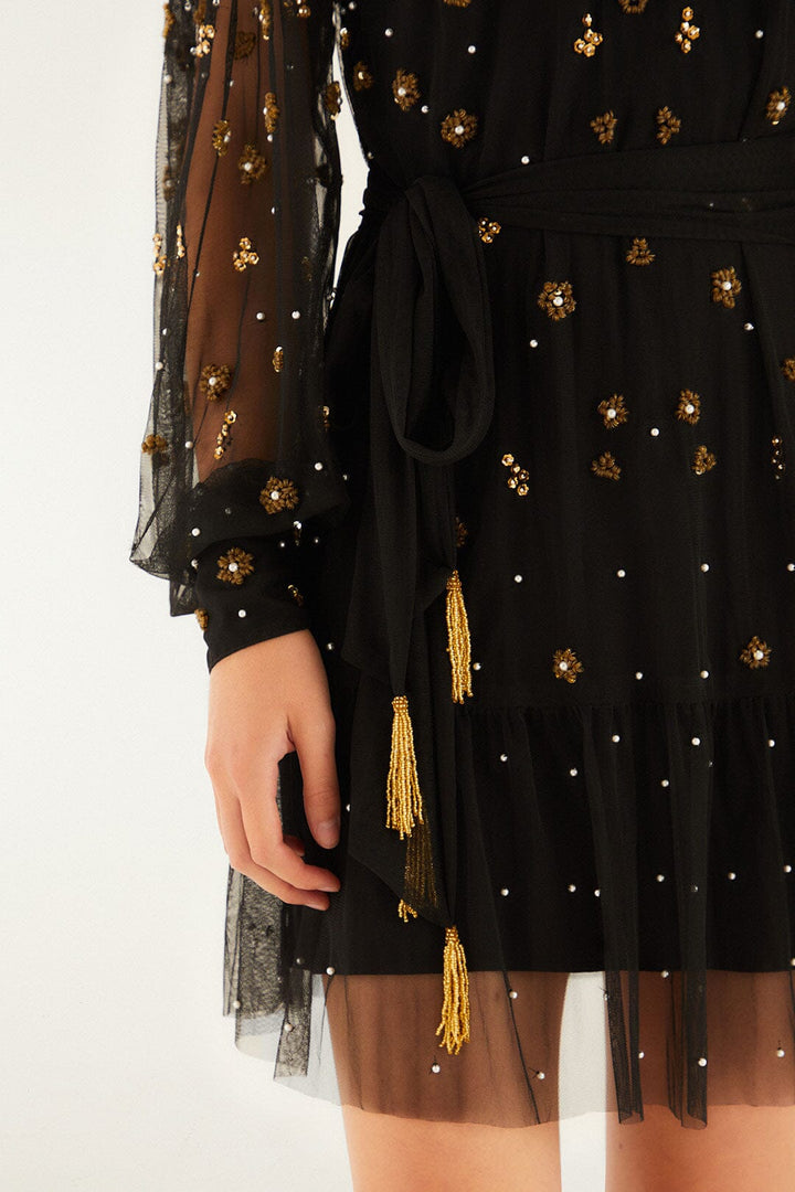 Embroidered Tulle Mini Dress